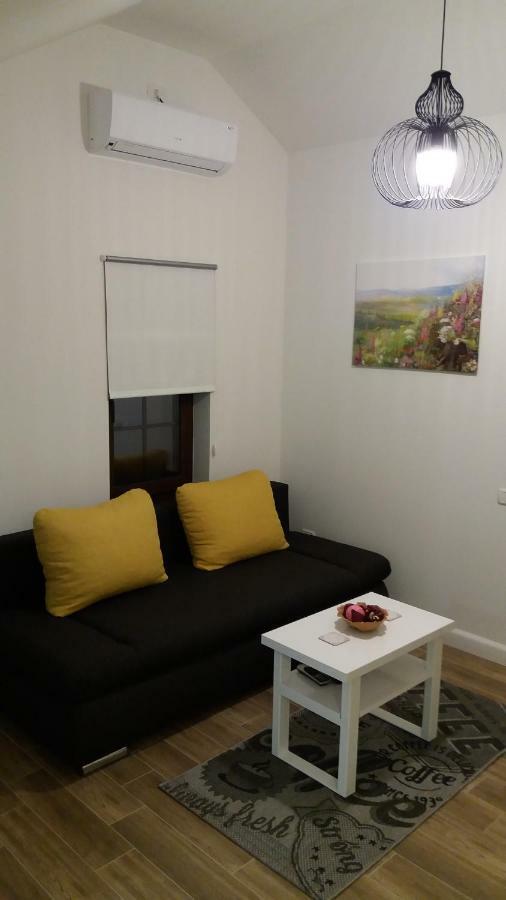 Enjoy Apartment Timisoara Luaran gambar